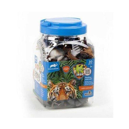 Pack Of 30Pcs